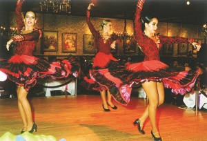 flamenco dansers | Miami
